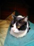 Mona (2)